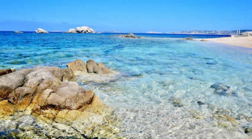 Quanti giorni di ferie spettano ai lavoratori domestici?