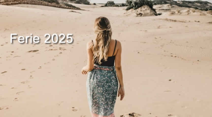 Ferie lavoro domestico 2025 - diritti doveri colf badanti